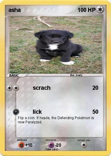 Pokemon asha