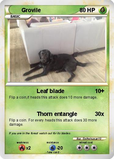 Pokemon Grovile
