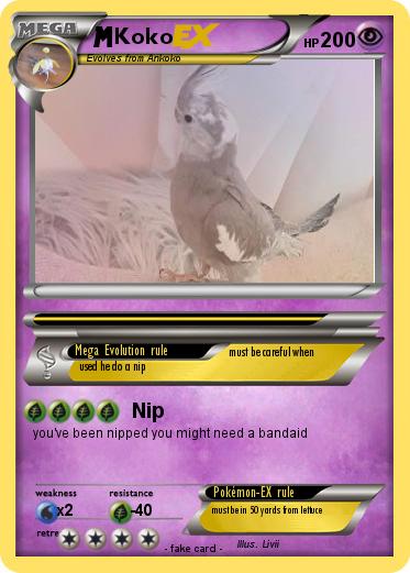 Pokemon Koko