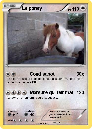 Pokemon Le poney