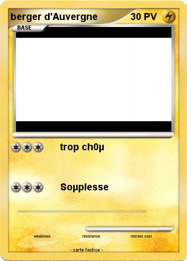 Pokemon berger d'Auvergne