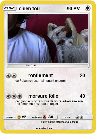 Pokemon chien fou