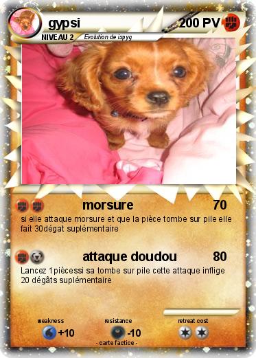 Pokemon gypsi