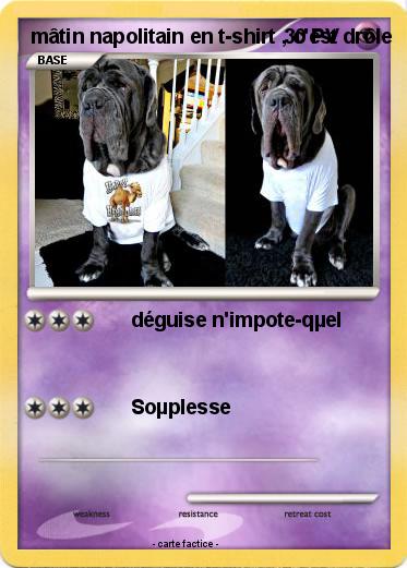Pokemon mâtin napolitain en t-shirt , c'est drôle