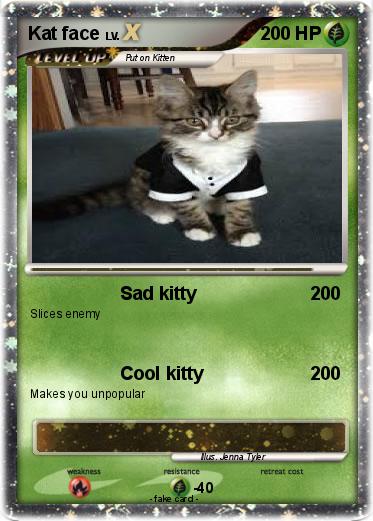 Pokemon Kat face