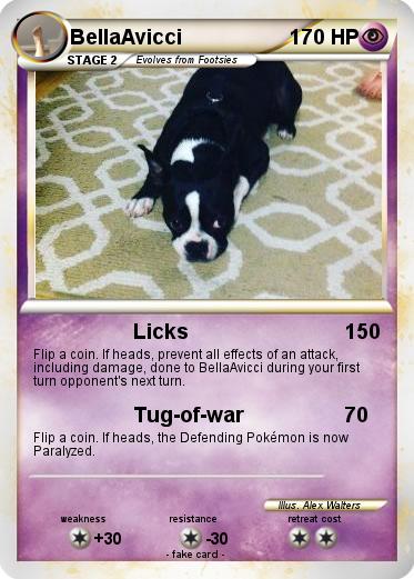 Pokemon BellaAvicci