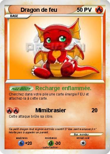 Pokemon Dragon de feu