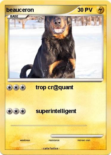 Pokemon beauceron