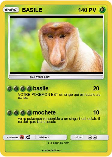 Pokemon BASILE