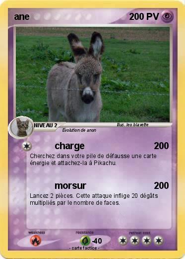 Pokemon ane
