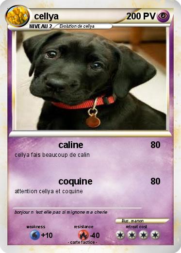 Pokemon cellya