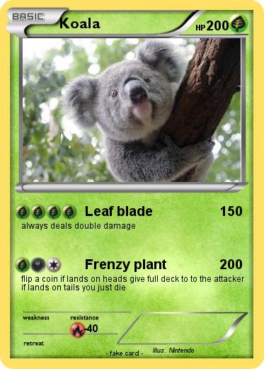 Pokemon Koala