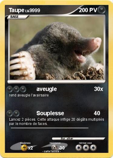 Pokemon Taupe