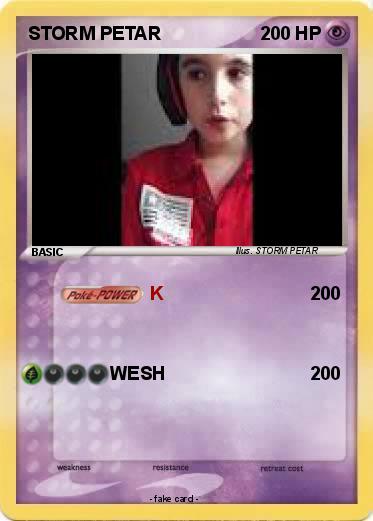 Pokemon STORM PETAR