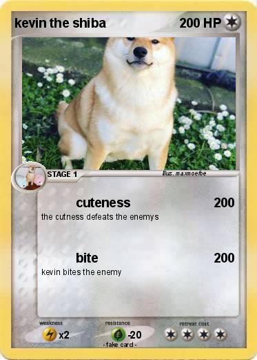 Pokemon kevin the shiba