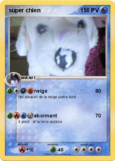 Pokemon super chien