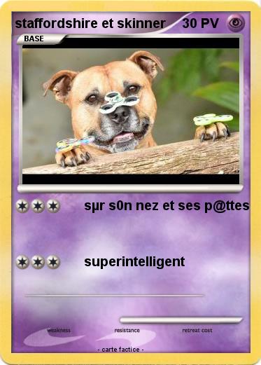 Pokemon staffordshire et skinner