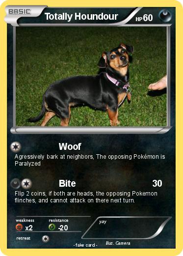 Pokemon Totally Houndour