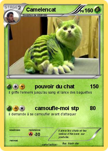 Pokemon Camelencat