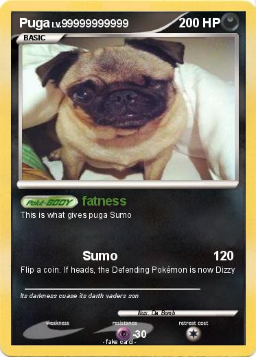 Pokemon Puga