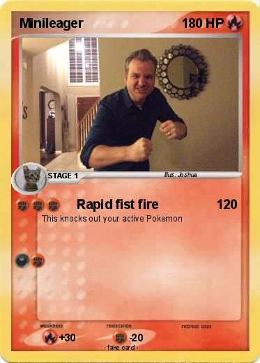 Pokemon Minileager
