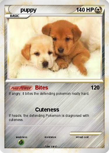 Pokemon puppy