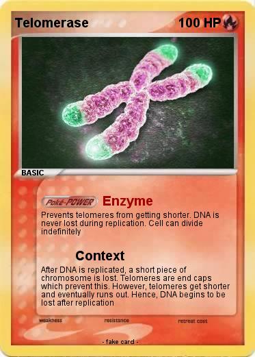 Pokemon Telomerase