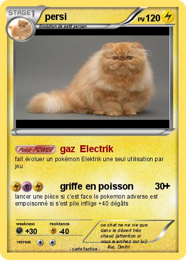 Pokemon persi