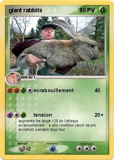 Pokemon giant rabbits