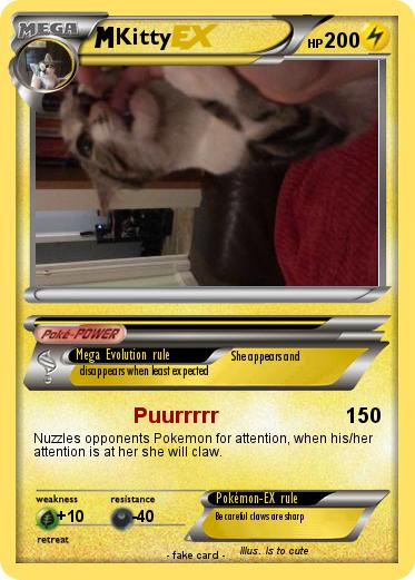 Pokemon Kitty