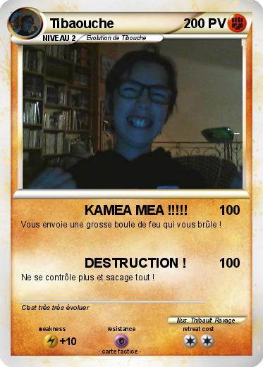 Pokemon Tibaouche