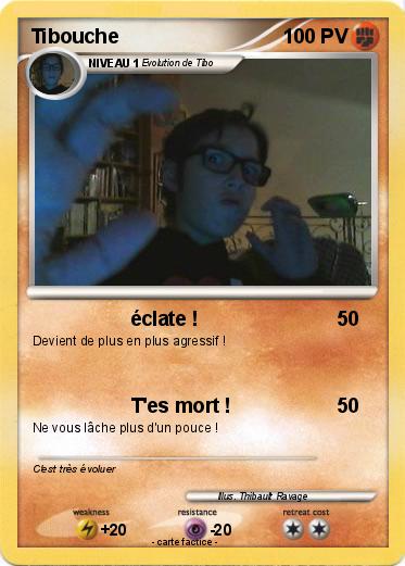 Pokemon Tibouche