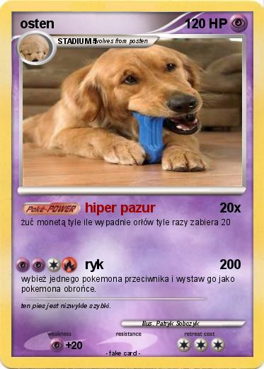 Pokemon osten