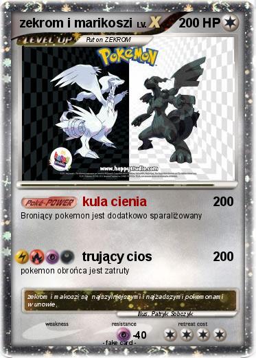 Pokemon zekrom i marikoszi