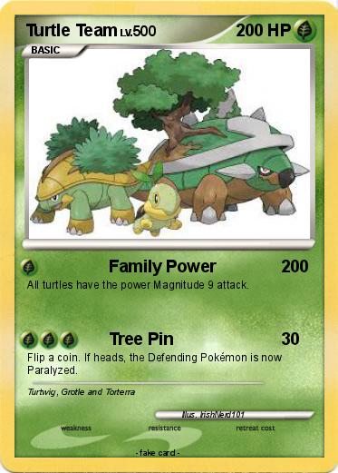 Pokemon Turtle Team