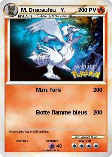 Pokemon M. Dracaufeu   Y.