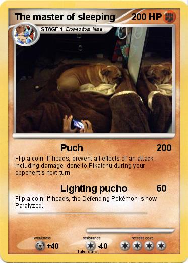 Pokemon The master of sleeping