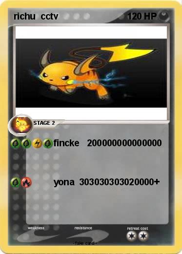 Pokemon richu  cctv