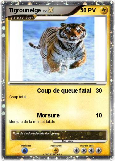 Pokemon Tigrouneige