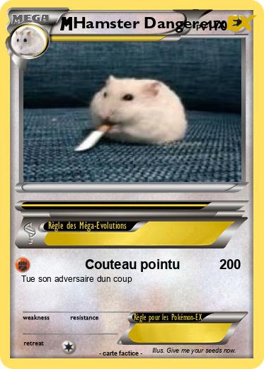 Pokemon Hamster Dangereux