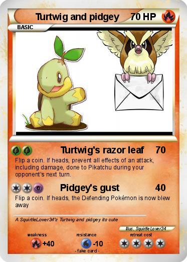 Pokemon Turtwig and pidgey