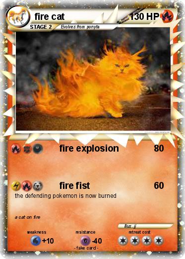 Pokemon fire cat