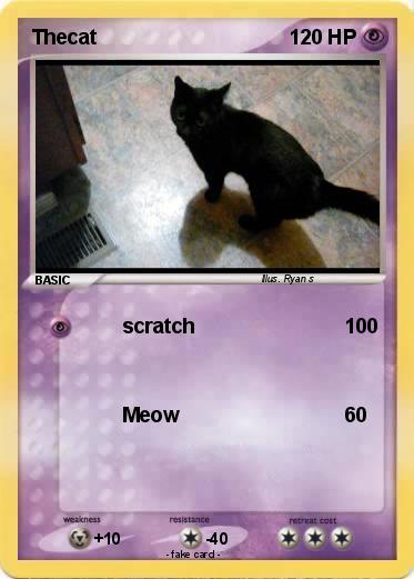Pokemon Thecat
