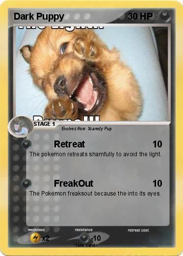Pokemon Dark Puppy