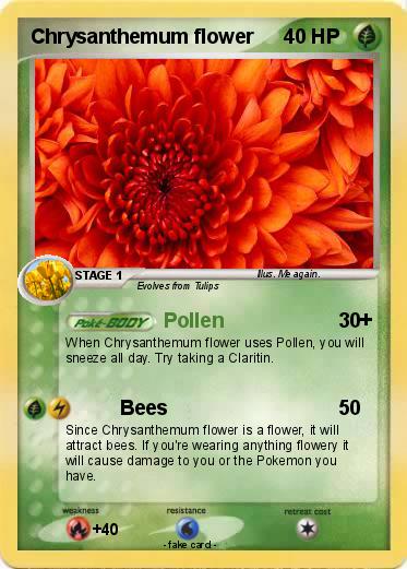 Pokemon Chrysanthemum flower