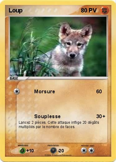 Pokemon Loup