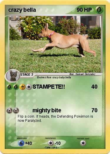 Pokemon crazy bella