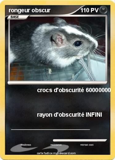 Pokemon rongeur obscur