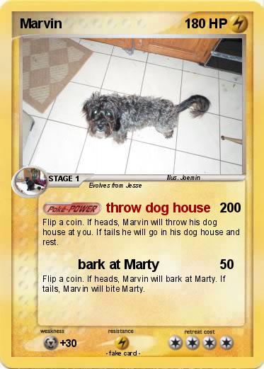 Pokemon Marvin