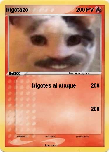 Pokemon bigotazo